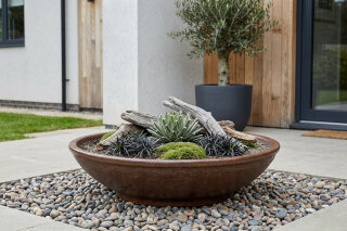 Pflanzschale Flach XXL, 80 x 24 cm, dunkelbraun-matt