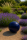 Garten Deko-Kugel, Ø 35 cm, blau