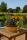 Pflanzschale Flach, 38 x 16 cm, braun-natur