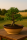 Pflanzschale Flach, 38 x 16 cm, braun-natur