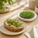 Sprossenschale mit Edelstahlsieb 19 cm – Keramikschale für Kresse & Microgreens, weiß