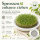 Sprossenschale mit Edelstahlsieb 19 cm – Keramikschale für Kresse & Microgreens, weiß
