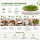 Sprossenschale mit Edelstahlsieb 19 cm – Keramikschale für Kresse & Microgreens, weiß