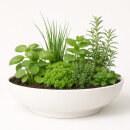 Bonsaischale Ø51x16 cm Pflanzschale Elegance, weiß