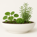 Bonsaischale Ø51x16 cm Pflanzschale Elegance, weiß