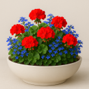 Bonsaischale Ø51x16 cm Pflanzschale Elegance, weiß