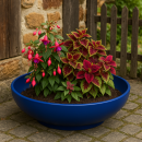 Bonsaischale Ø51x16 cm Pflanzschale Elegance, blau