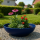 Bonsaischale Ø51x16 cm Pflanzschale Elegance, blau