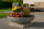 Bonsaischale Ø60x18 cm Pflanzschale Elegance, grau-granit