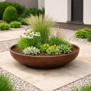 Bonsaischale Ø60x18 cm Pflanzschale Elegance, braun-glänzend