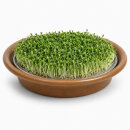 Keimschale mit Edelstahlsieb 19 cm –  Keramikschale...