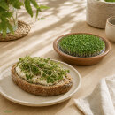 Keimschale mit Edelstahlsieb 19 cm –  Keramikschale für Sprossen & Microgreens, braun
