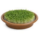 Sprossenschale mit Edelstahlsieb 19 cm – Keramikschale für Kresse & Microgreens, braun