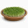 Keimschale mit Edelstahlsieb 19 cm –  Keramikschale für Sprossen & Microgreens, braun