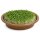 Sprossenschale mit Edelstahlsieb 19 cm – Keramikschale für Kresse & Microgreens, braun