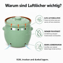 6,5 Liter Kartoffeltopf & Zwiebeltopf mit Deckel aus Steingut, 30×25×24 cm – grün, glasiert